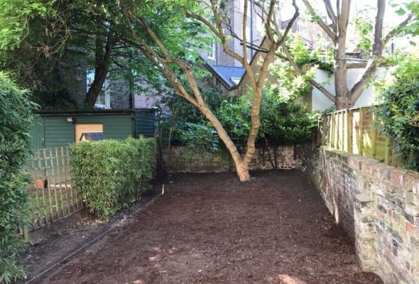 tree surgeons working in Manchester